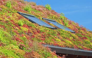East Rigton living roof systems